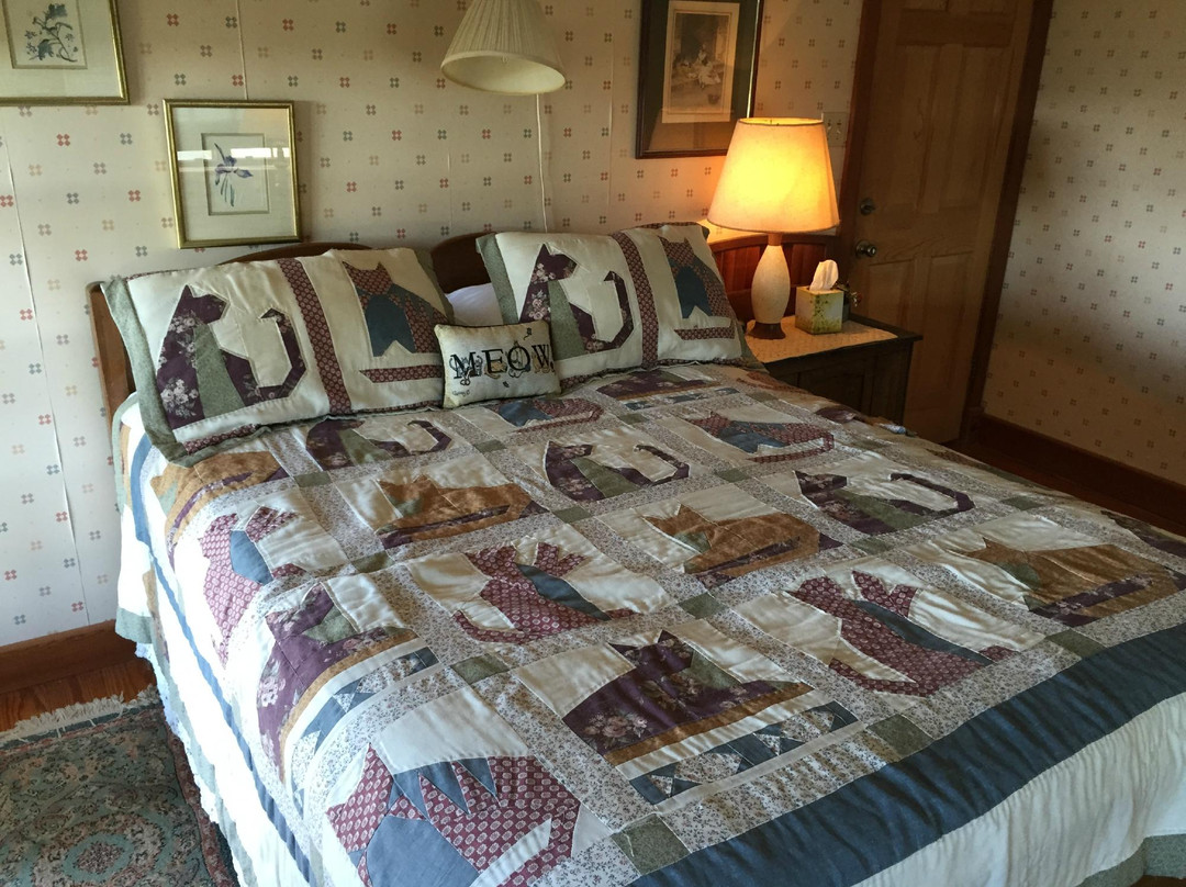 Driftwood酒店住宿-Southwind Bed and Breakfast