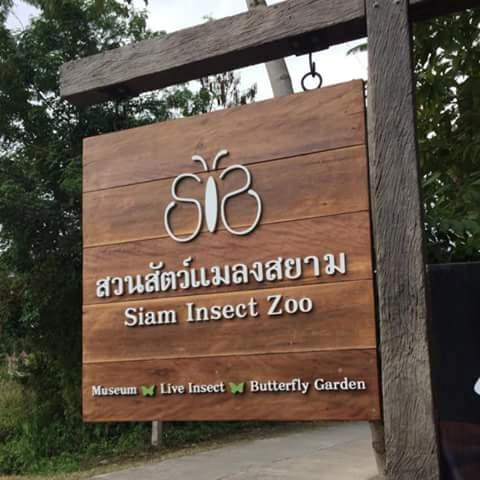 Siam Insect Zoo-夜林必去景点