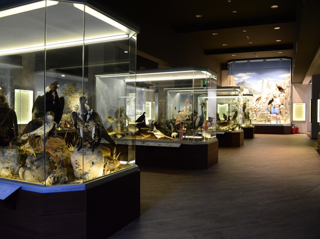 Natural History Museum of Meteora & Mushroom Museum-卡兰巴卡必去景点
