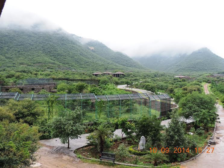 Sajjangarh Wildlife Sanctuary景点图片
