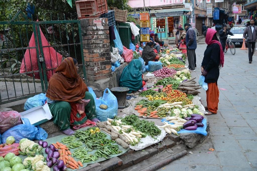 泰美尔-加德满都必去景点