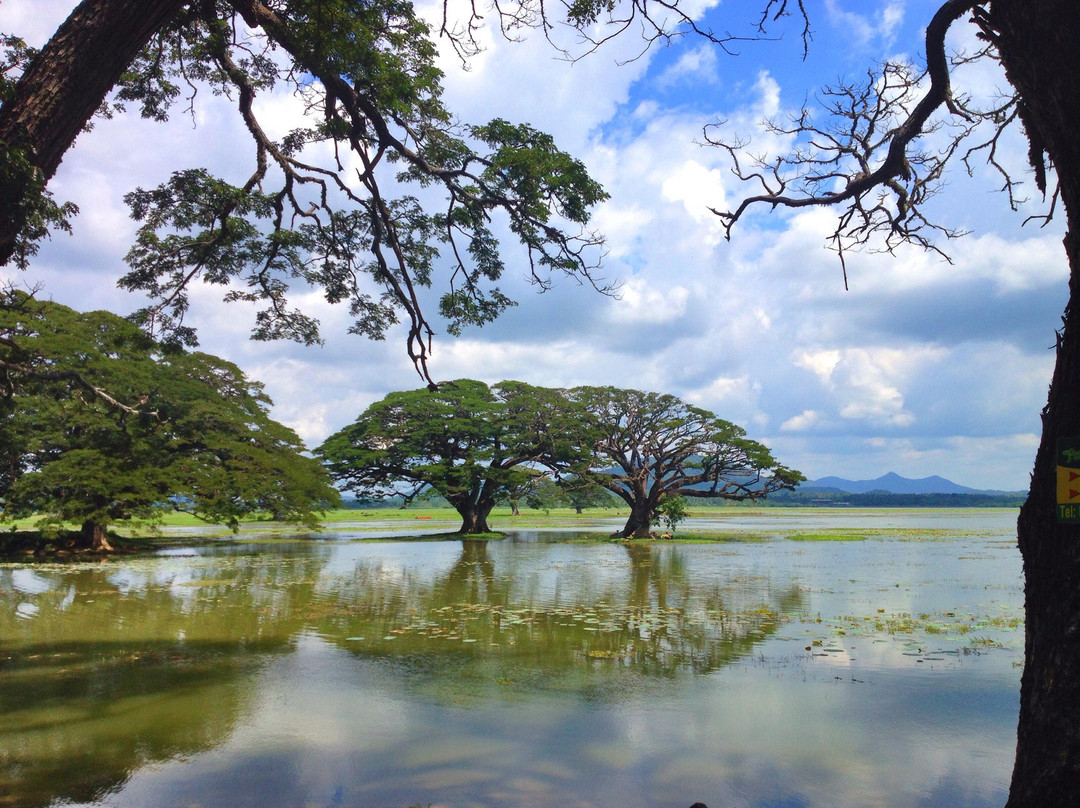 蒂瑟默哈拉默湖-蒂瑟默哈拉默必去景点