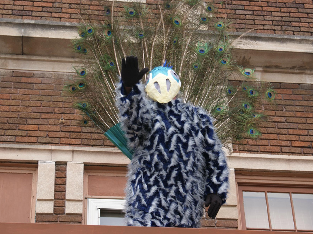 Plaid Peacock-Waterloo必去景点