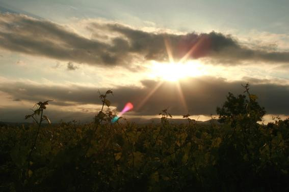 Cava Guilera-Lavern必去景点