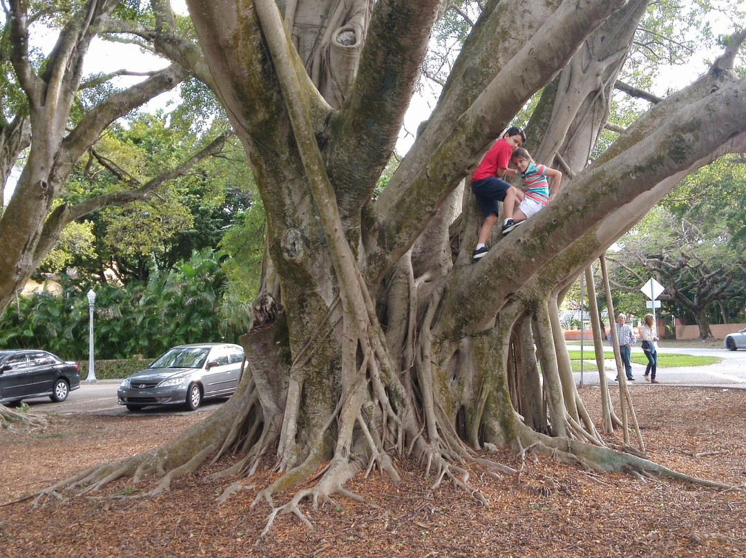 Coral Gables Merrick House and Gardens-科勒尔盖布尔斯必去景点