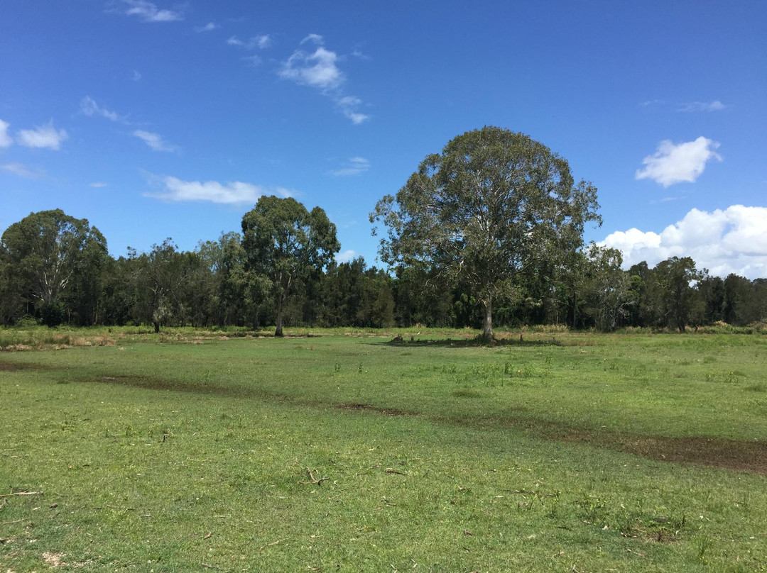 Coombabah Lakes Conservation Area景点图片