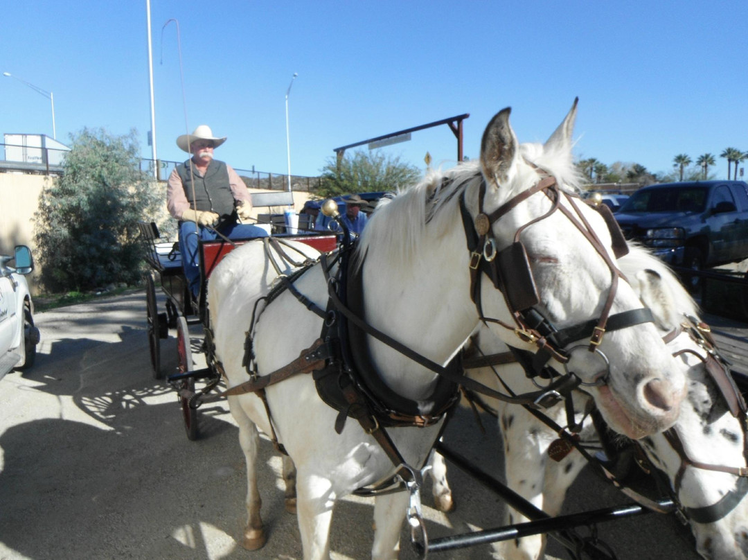 Arizona Horse Carriage & Wagon-Morristown必去景点