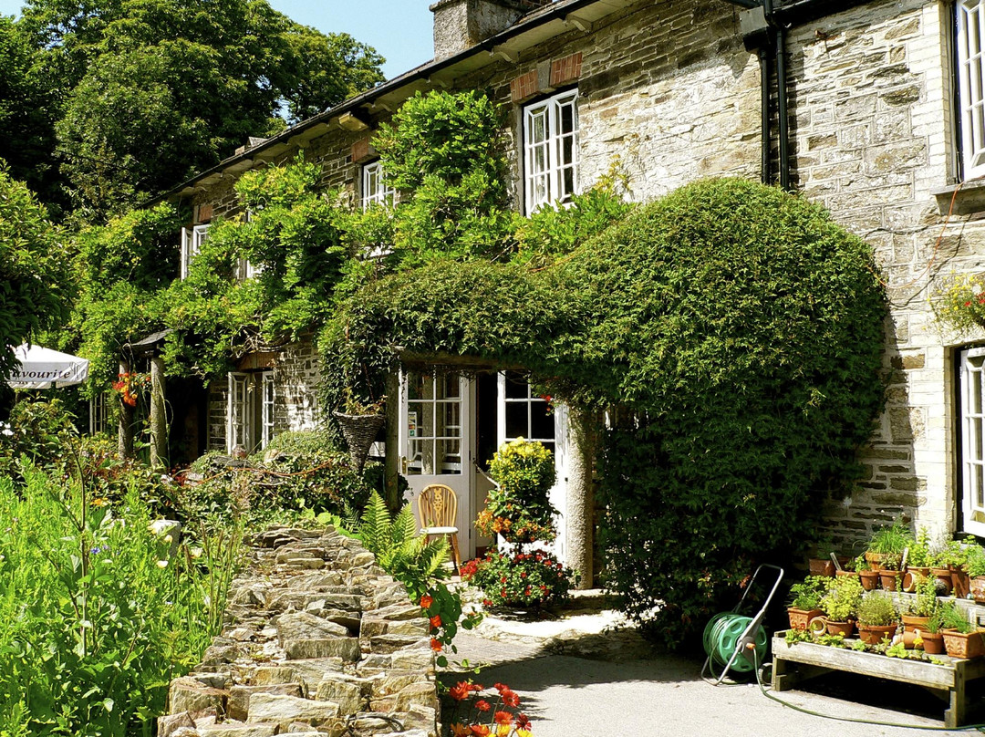 The Falcon Inn主图