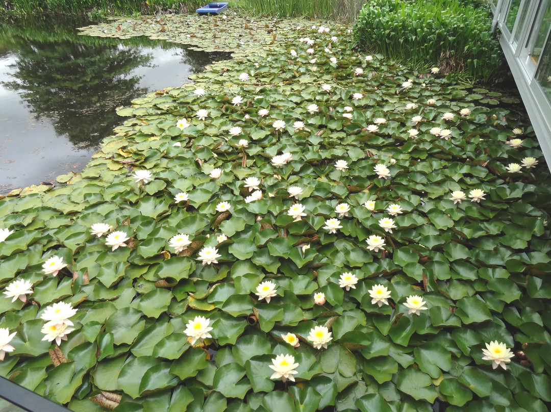 Auckland Wine Trail Tours-奥克兰中心地区必去景点