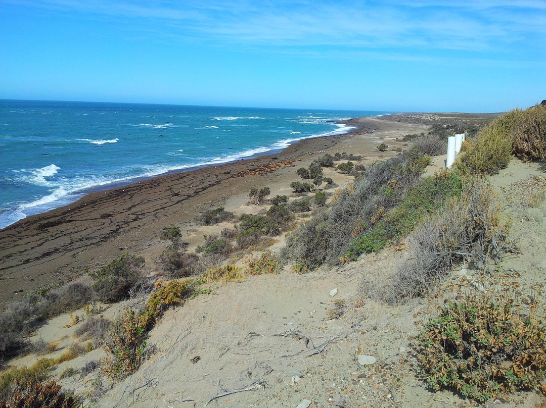 Punta Norte-Province of Chubut必去景点