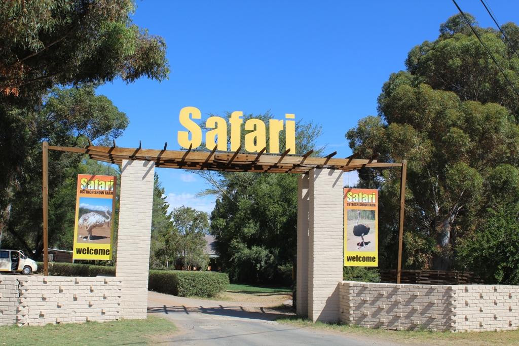 Safari Ostrich Farm-奥兹洪必去景点