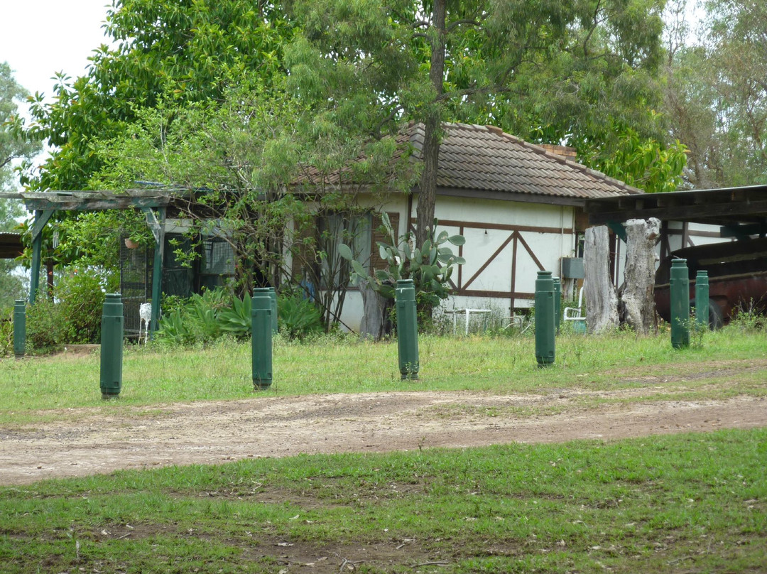 Valley View Park Horse Riding-Grose Vale必去景点