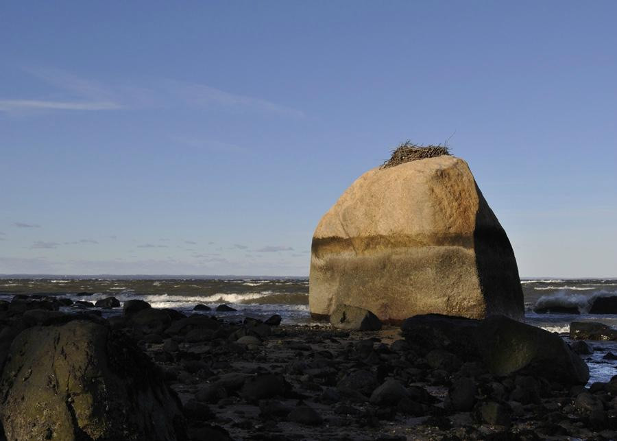 Target Rock National Wildlife Refuge-亨廷顿必去景点