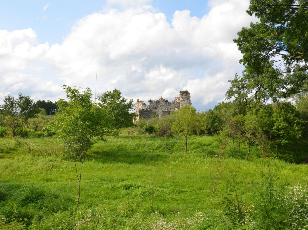 Srednenskiy Castle景点图片