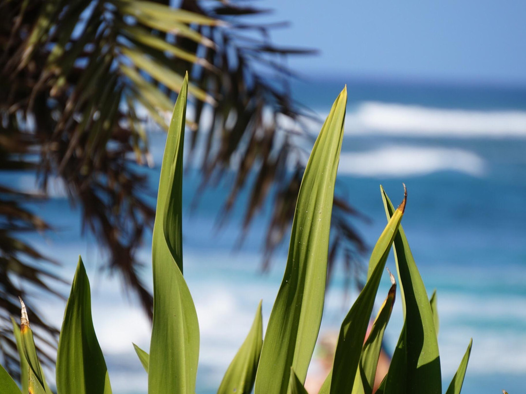 Malaekahana State Recreation Area-拉叶必去景点