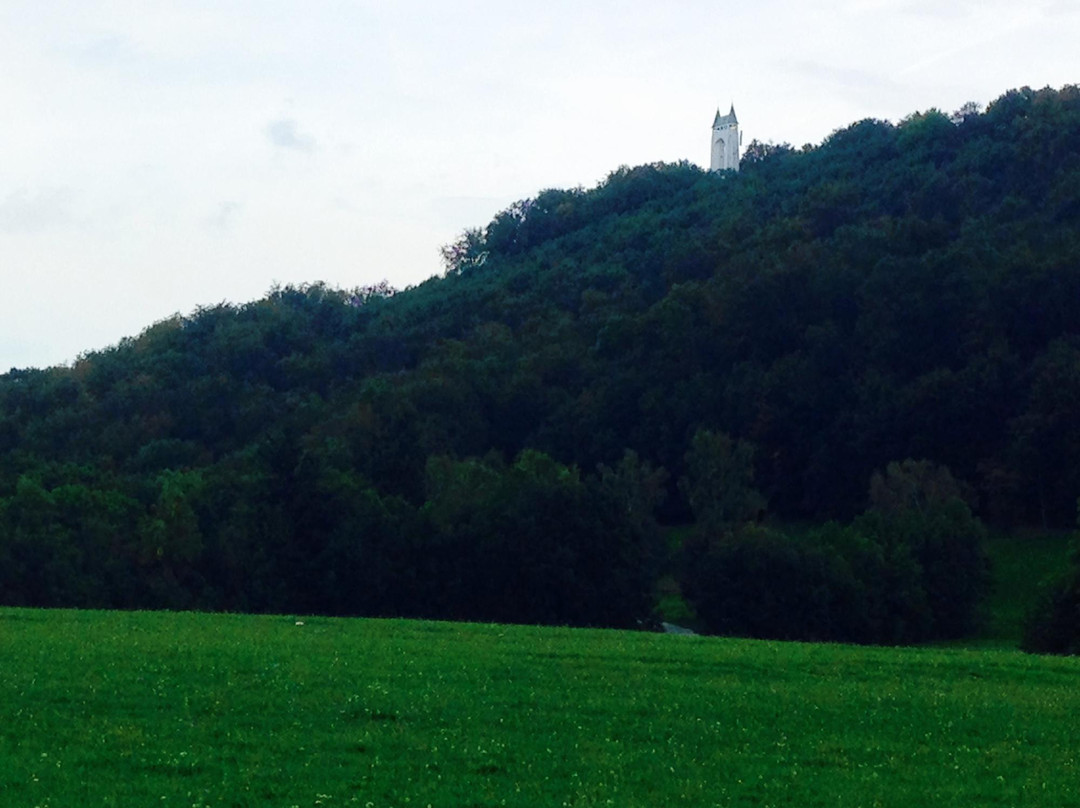 Schoenbergturm Pfullingen景点图片