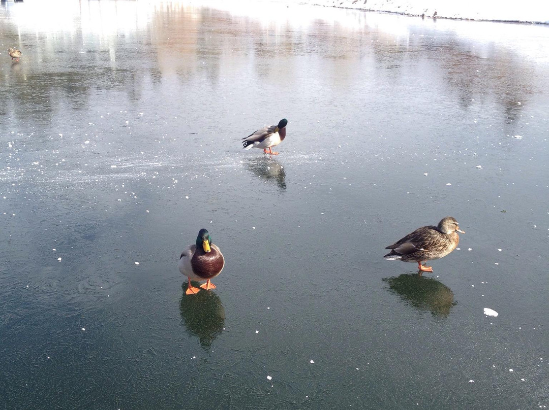 Boulder Bay Park-大熊湖必去景点