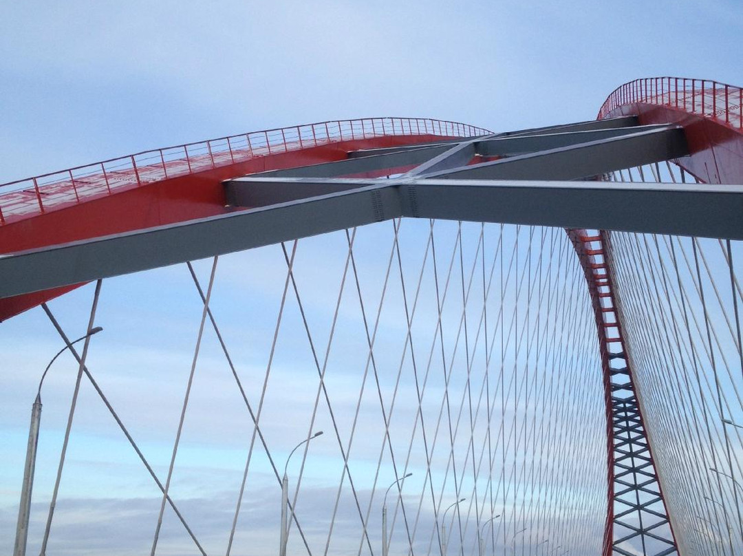 Bugrinsky Bridge景点图片