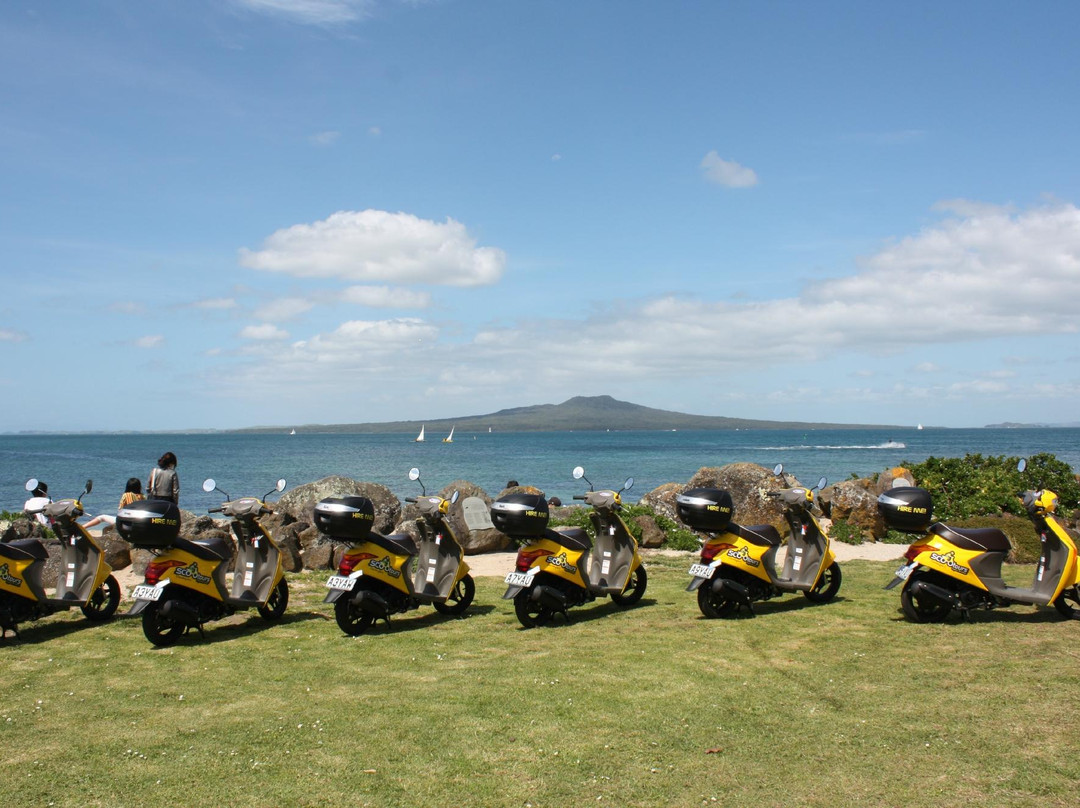 SCOOtours-奥克兰中心地区必去景点