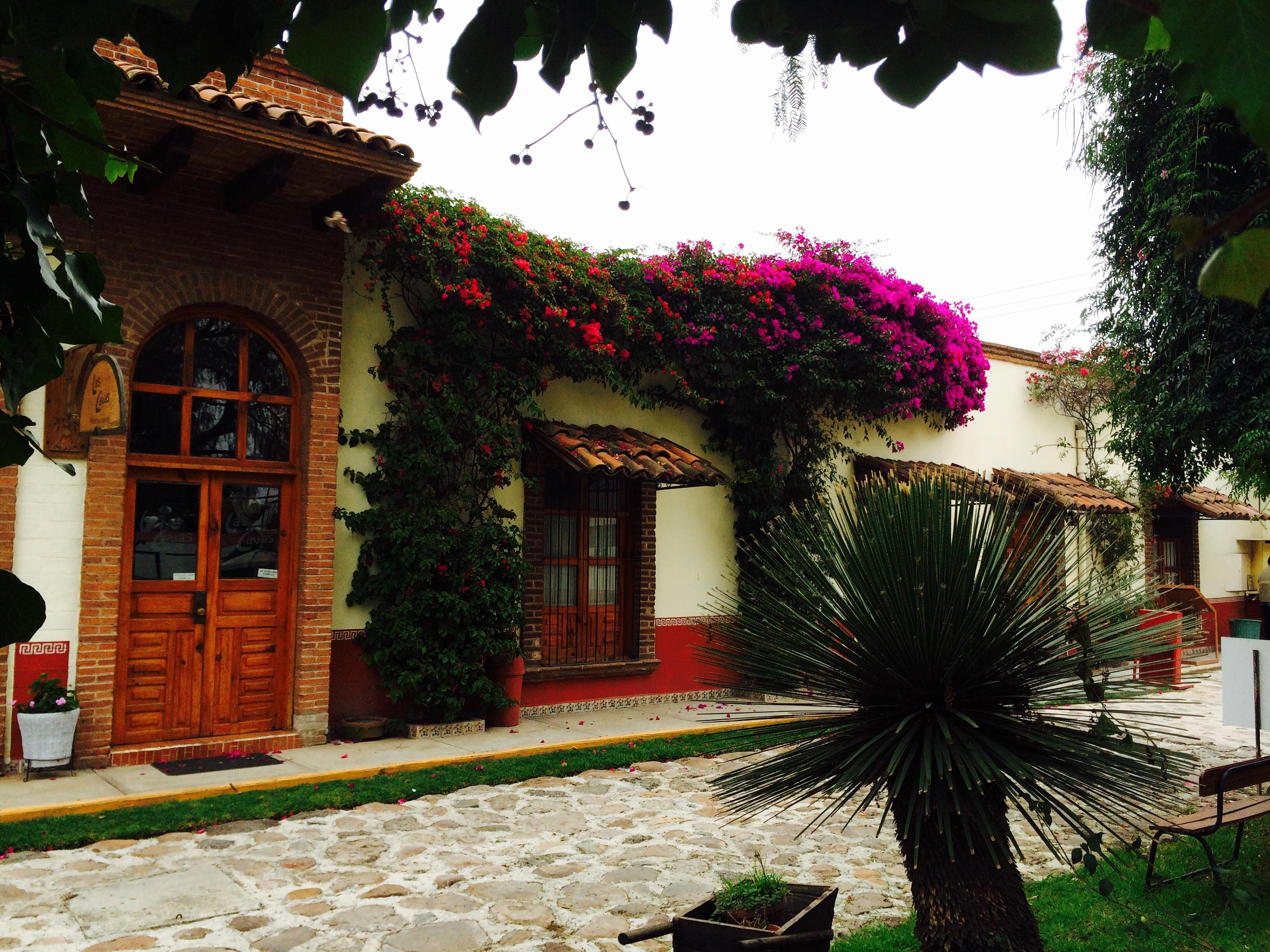 Villa Caltengo-官方