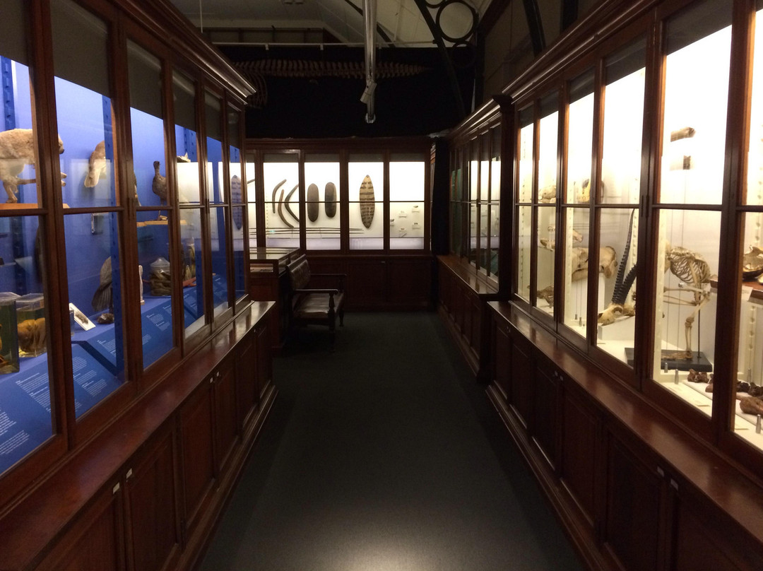 Camperdown旅游景点-麦克里博物馆