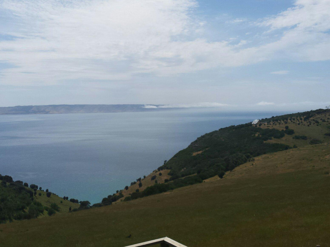 Dudley Wines-Penneshaw必去景点