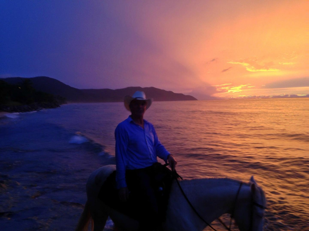 Equus Rides Horseback Riding St. Croix-Frederiksted必去景点