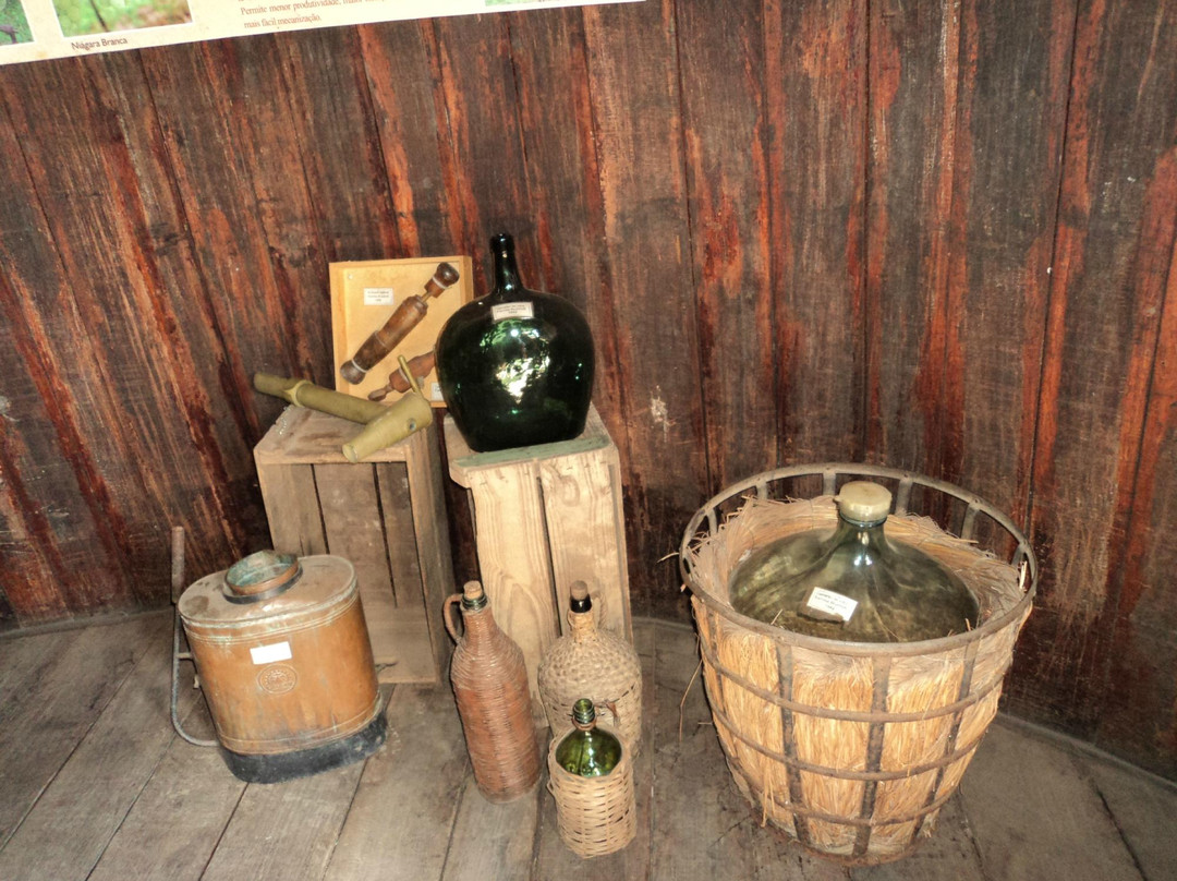 Espaco Cultural Museu do Vinho-容迪亚伊必去景点