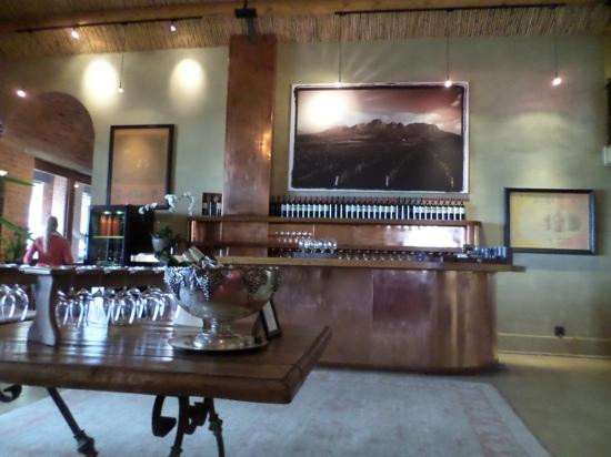 Tsiba Tsiba Wine Tours-斯泰伦博斯必去景点