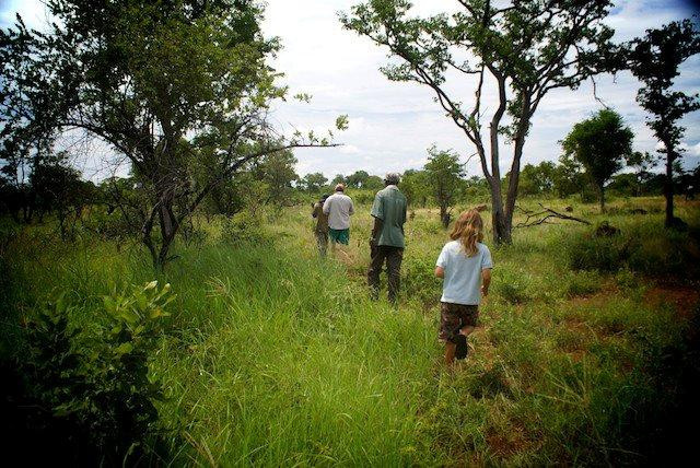 Afrizim Rhino Walk - Mosi Oa Tunya Park-李文斯顿必去景点