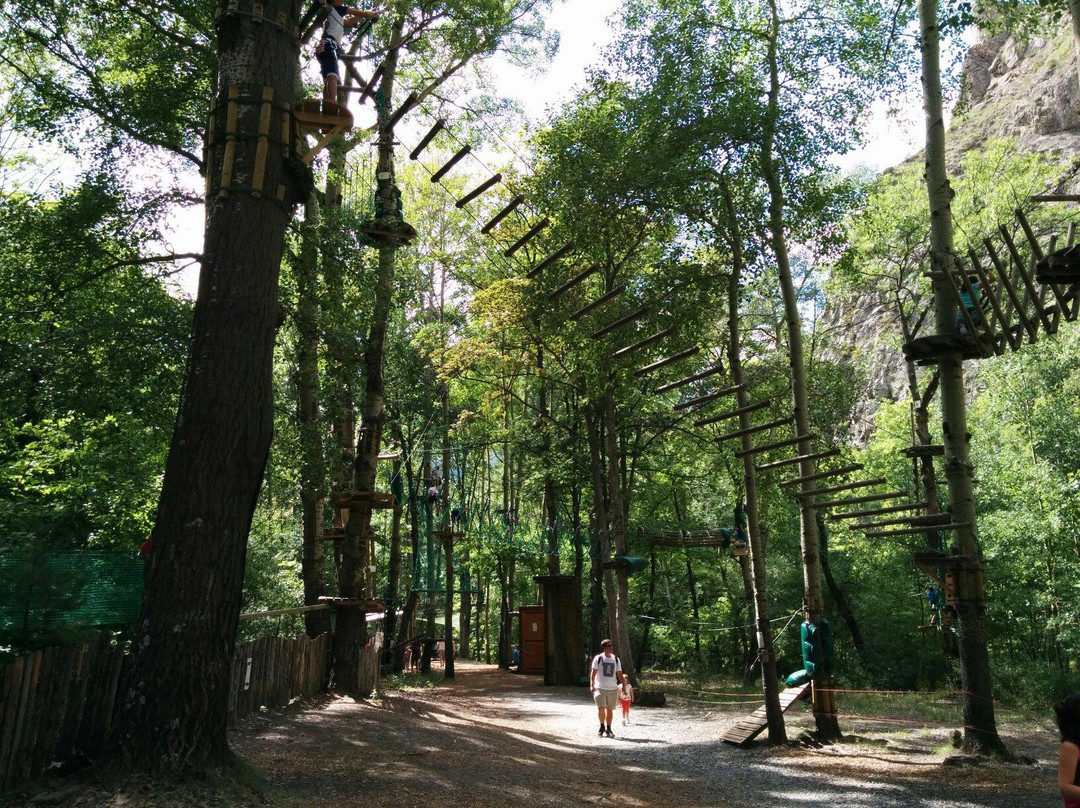 Grimp in Forest景点图片