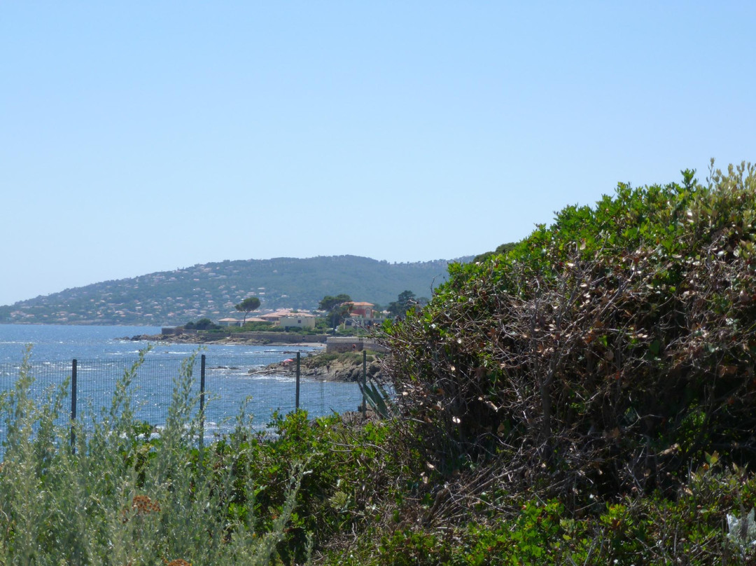 Parc Areca景点图片