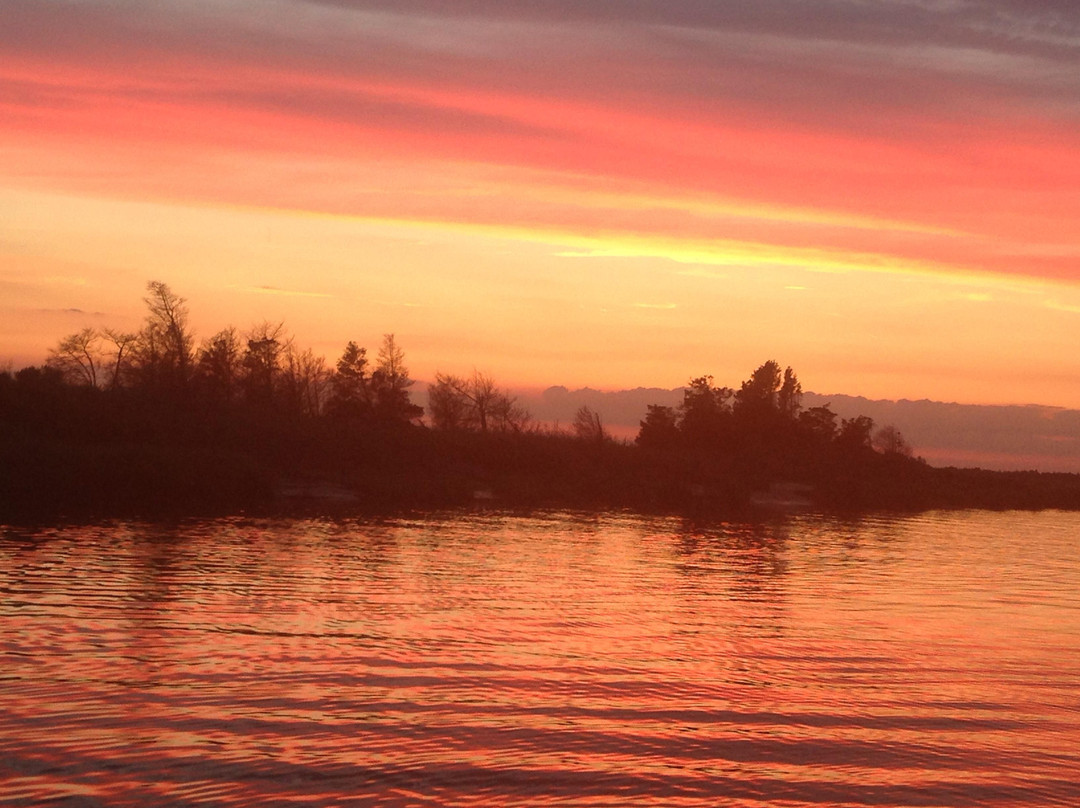 Cape Water Tours-刘易斯必去景点