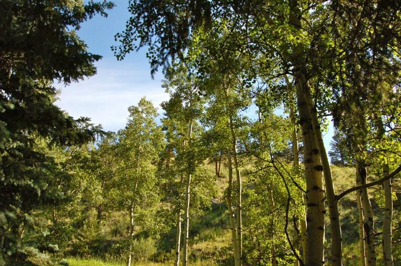 Elk Run Bed and Breakfast主图