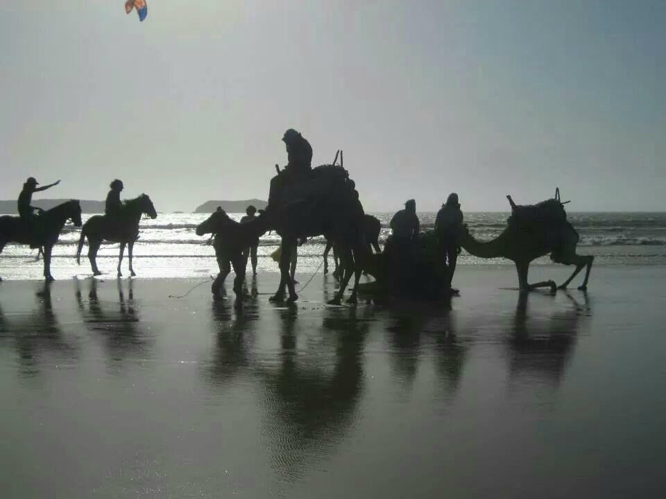 Morocco Travel Dreams-马拉喀什必去景点