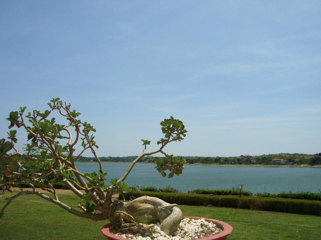 Paoay Lake National Park景点图片