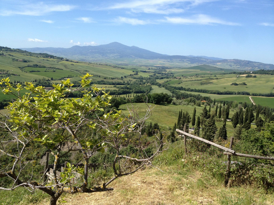 Podere Il Casale-皮恩扎必去景点
