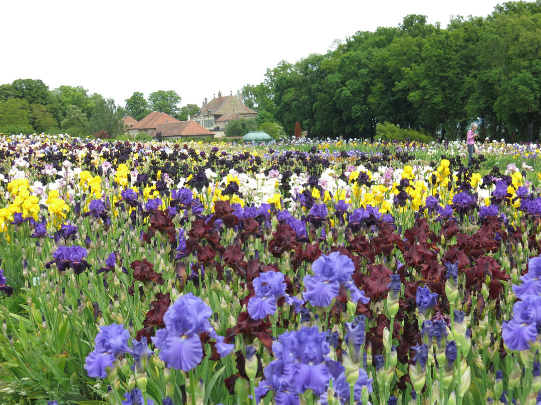 Château de Vullierens-Vullierens必去景点