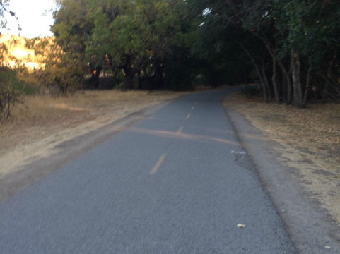 Coyote Creek Parkway Path-圣何塞必去景点