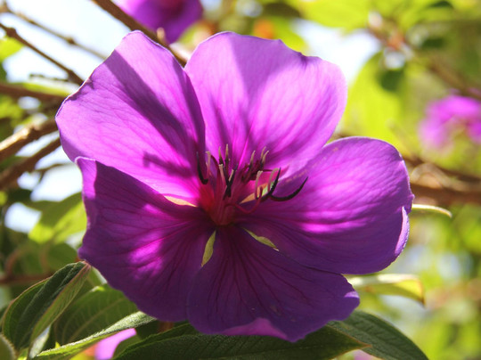 彩虹泉自然公园-罗托鲁瓦必去景点