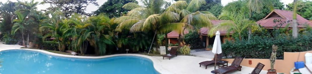 Ritmo Tropical Hotel主图