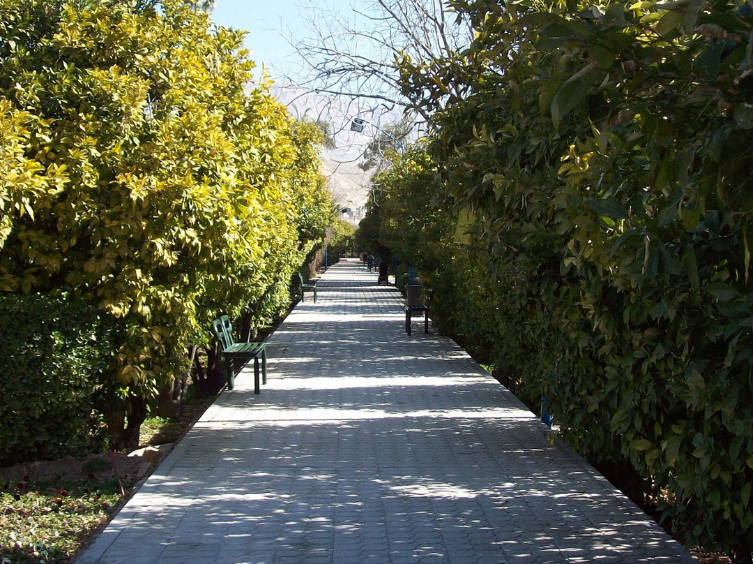 Delgosha Garden-Shiraz必去景点
