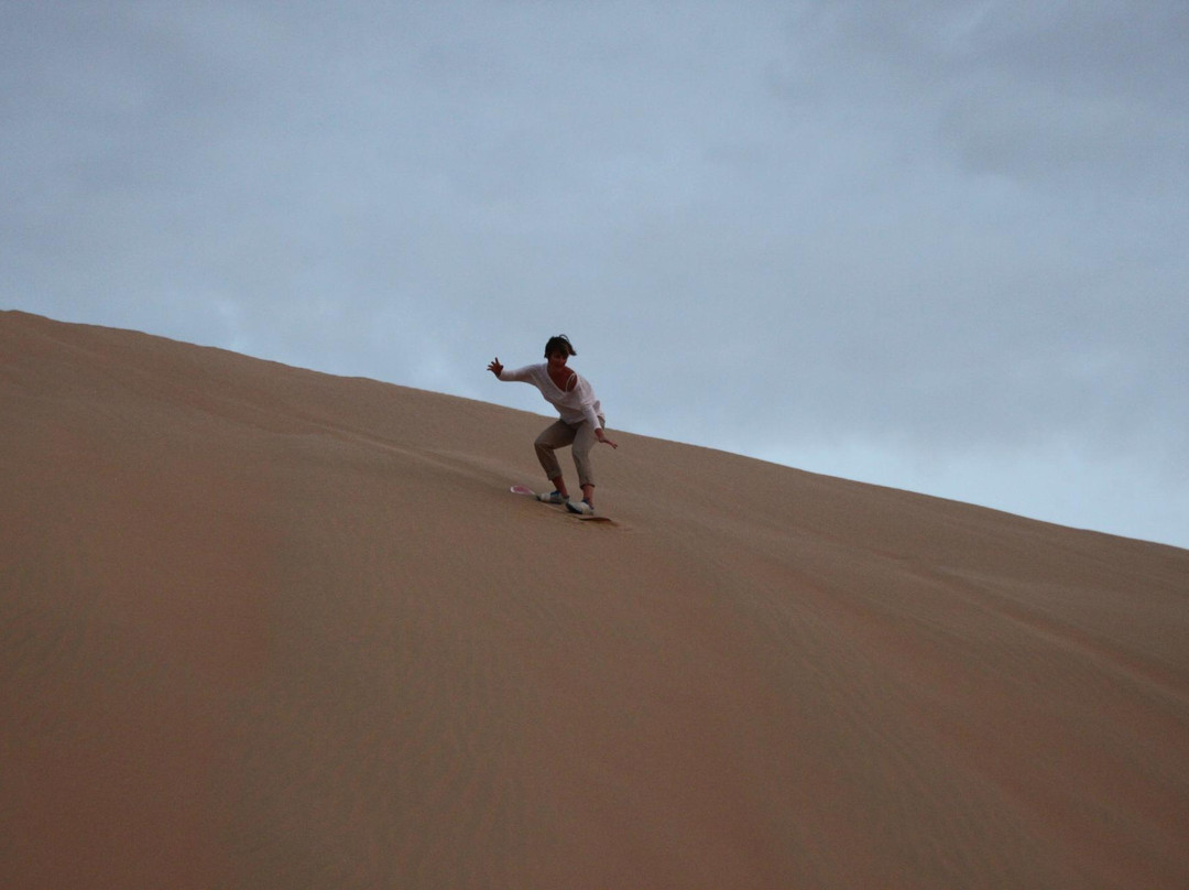 阿联酋狩猎营地-阿布扎比必去景点