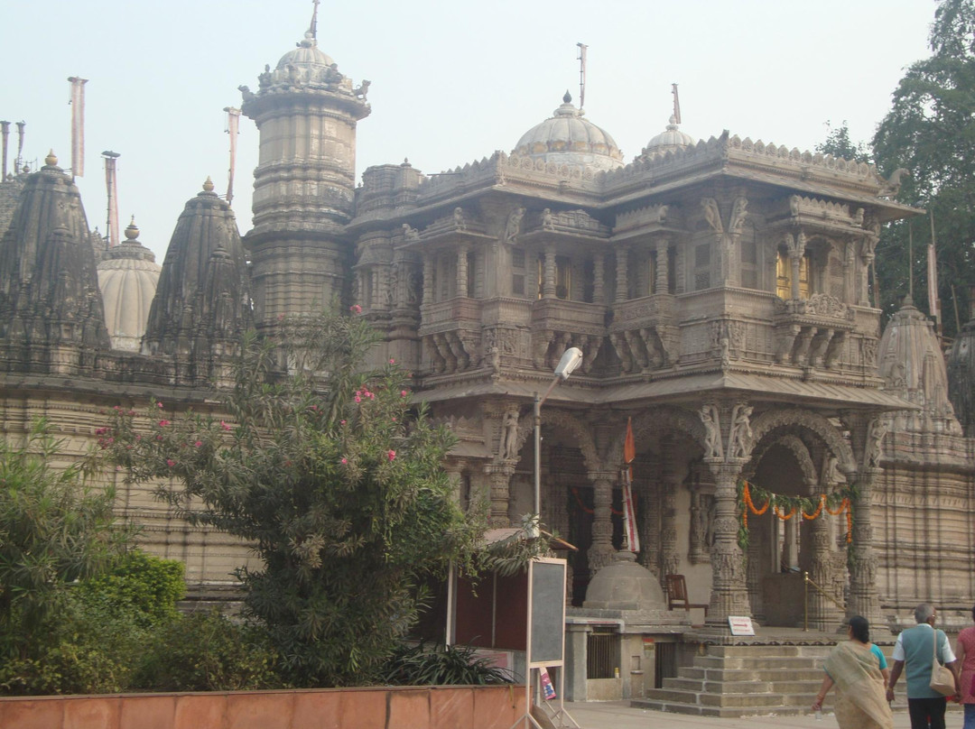 Hathee Singh Jain Temple景点图片