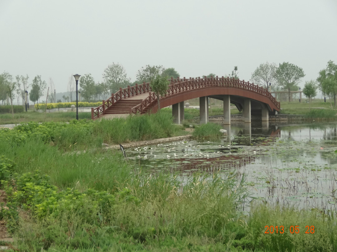衡水湖-衡水市必去景点