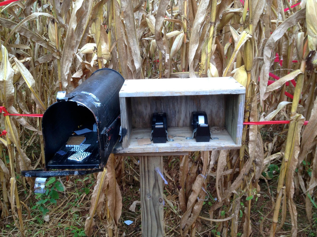 Historic Rural Hill Farm-亨特斯维尔必去景点