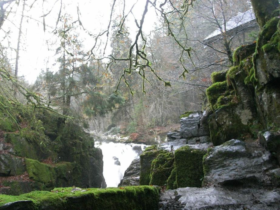 The Hermitage-Dunkeld必去景点