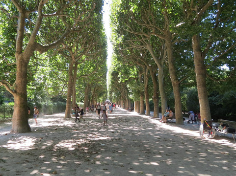 自然历史博物馆-巴黎必去景点