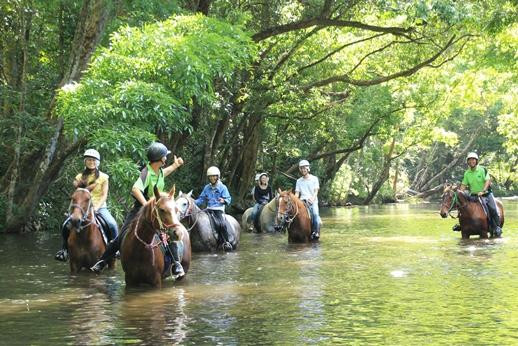 Mount-N-Ride Adventures-凯恩斯必去景点