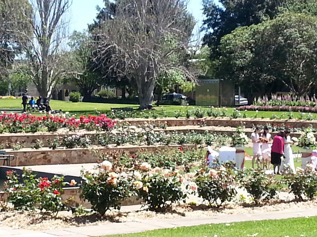 Himeji Garden-阿德莱德必去景点